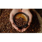 Drija Cafetera de 8 tazas espresso y capuccino sistema digital con sistema espumador MOCCA8TB