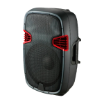 Sankey Bocina de 175w radio fm bluetooth con entrada a microfono pa15152