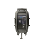 Sankey Bocina de 175w radio fm bluetooth con entrada a microfono pa15152