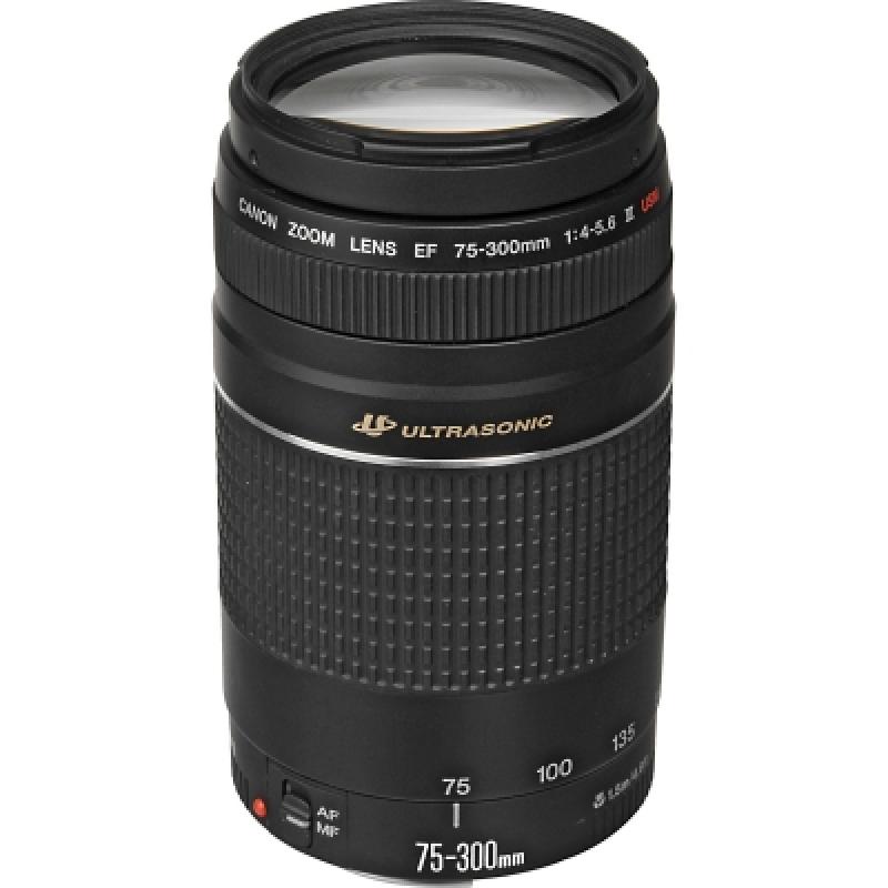 Canon Lente ef 75-300 f/4-5.6 iii usm