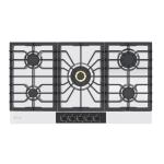 DRIJA ESTUFA EMPOTRABLE A GAS DE 87CM 5 QUEMADORES LAZIO