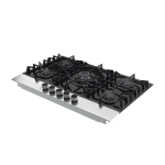 DRIJA ESTUFA EMPOTRABLE 76CM A GAS DE 5 QUEMADORES FERRARA 76