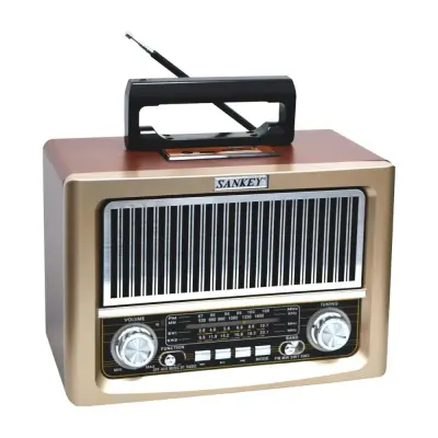 Sankey Radio digital portatil sintonización fm bluetooth dorado