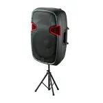 Sankey Bocina de 175w radio fm bluetooth con entrada a microfono pa15152