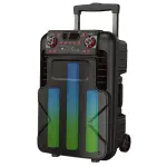 Sankey Bocina portatil recargable de 50w rms bluetooth pa12dcm