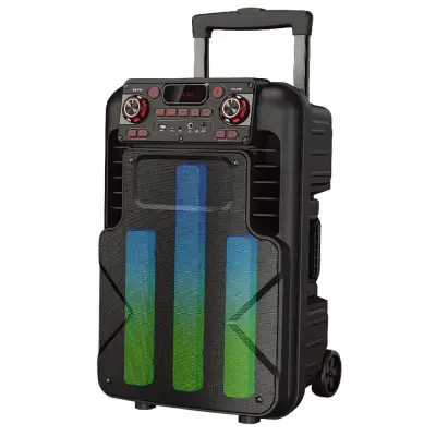 Sankey Bocina portatil recargable de 50w rms bluetooth pa12dcm