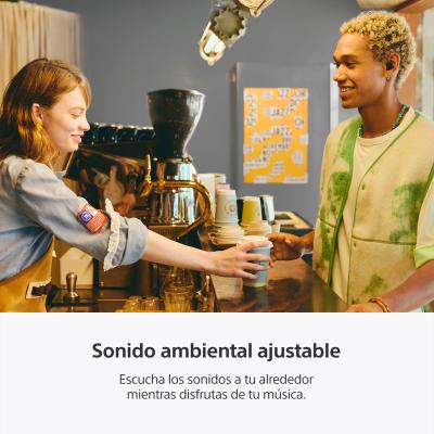 SONY AUDIFONOS IN-EAR TRULY WIRELESS COLOR NEGRO WFC510