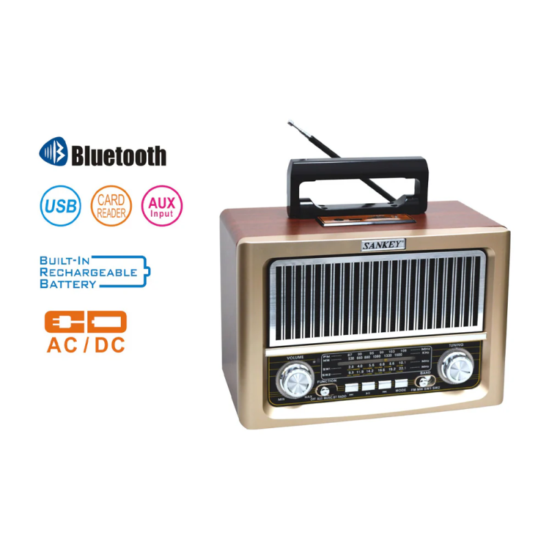 Sankey Radio digital portatil sintonización fm bluetooth dorado