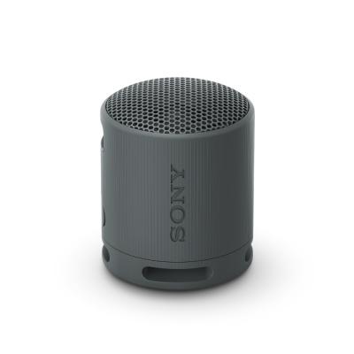 SONY BOCINA INALAMBRICA BLUETOOTH COLOR NEGRO SRSXB100
