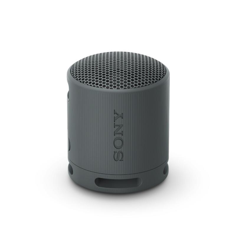 SONY BOCINA INALAMBRICA BLUETOOTH COLOR NEGRO SRSXB100